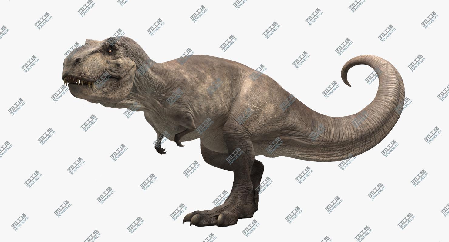 images/goods_img/20210113/Tyrannosaurus Rex Rigged/2.jpg